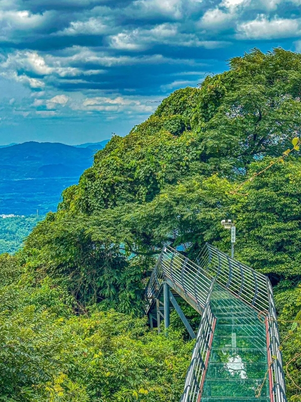 海南百花嶺