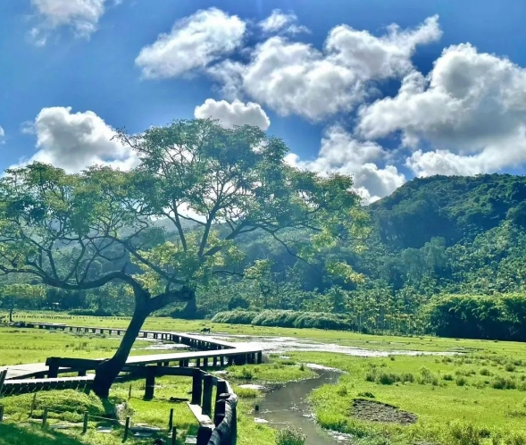 海南百花嶺