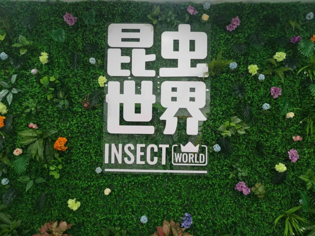 佛山活體昆蟲博物館3.png