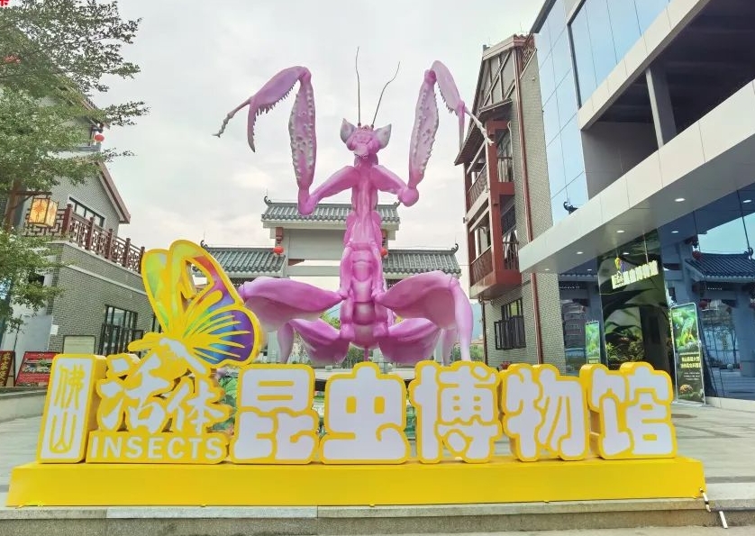 佛山活體昆蟲(chóng)博物館1.jpg