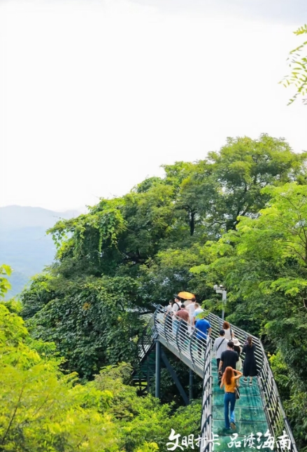 海南百花嶺