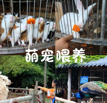 株洲御景林歡樂(lè)谷