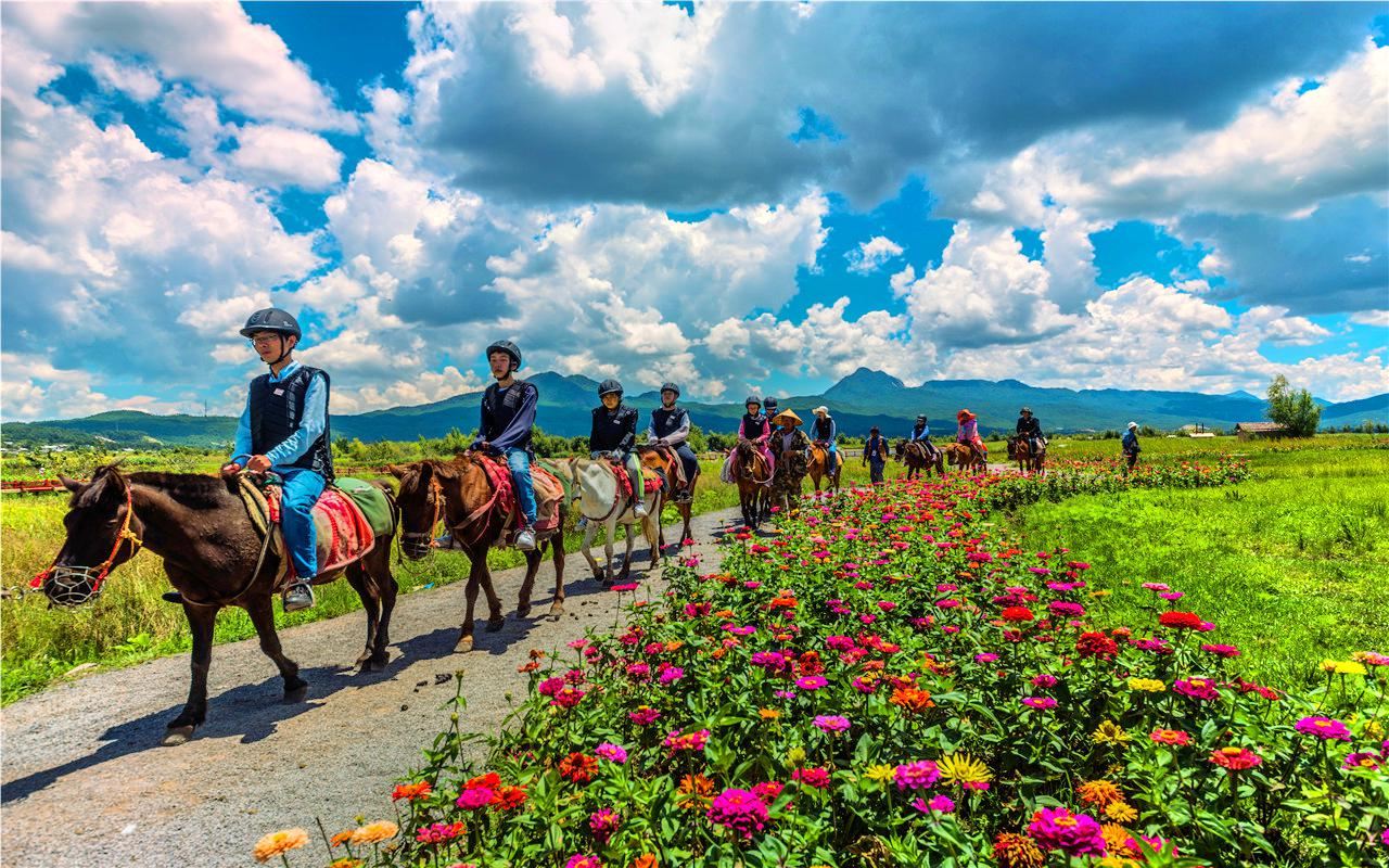拉市海茶馬古道1.jpg