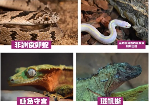 佛山活體昆蟲(chóng)博物館