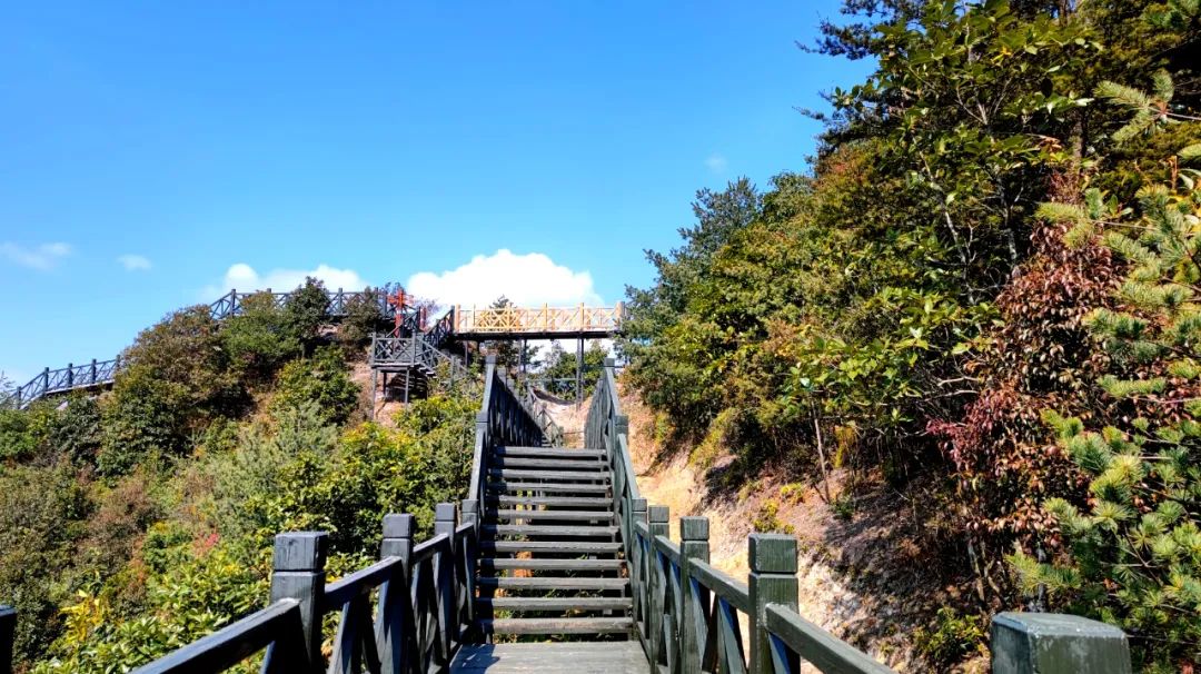 金秀銀杉森林公園