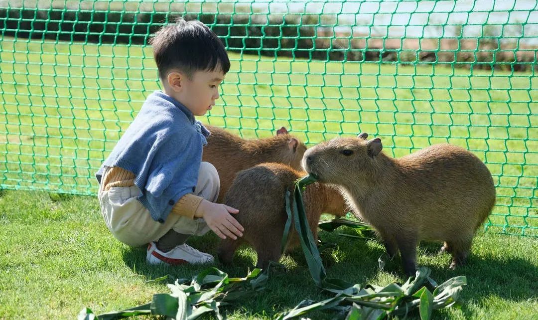 七彩云南古滇名城