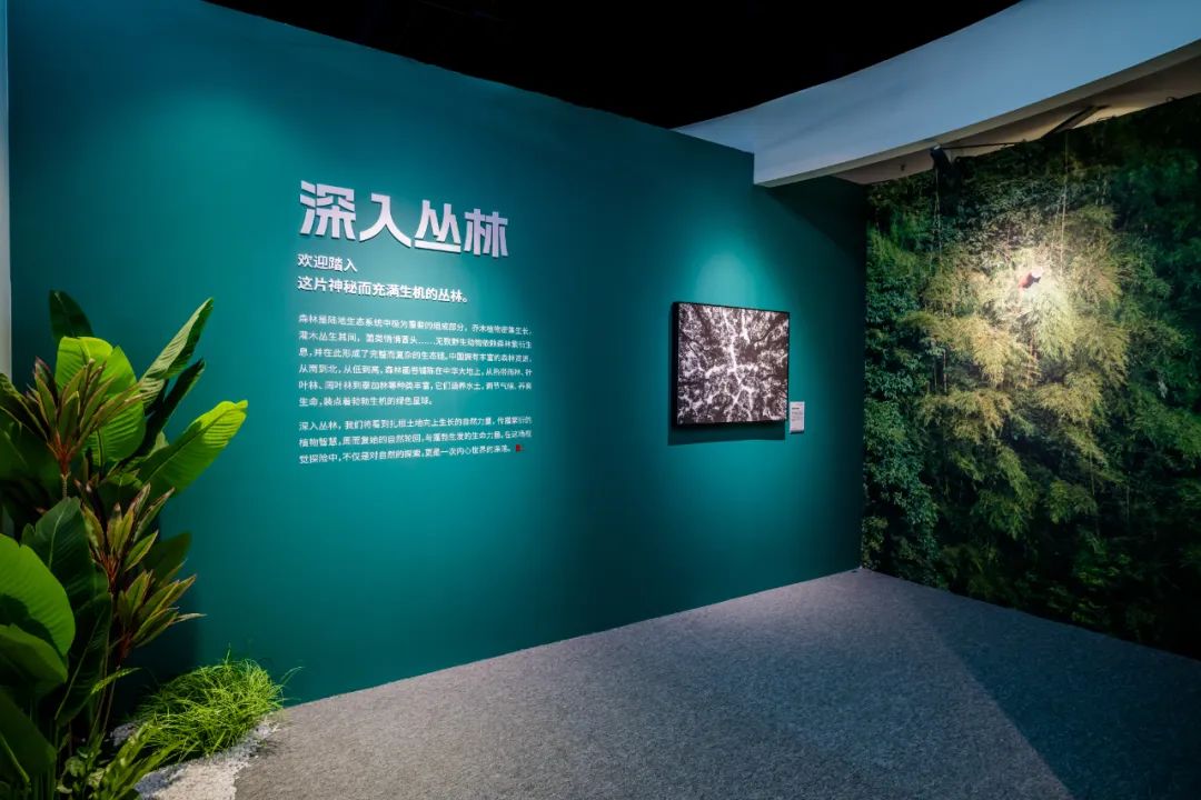 雅安中國國家地理展