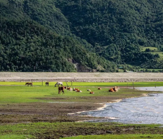 文海雪山云端自然風(fēng)景區(qū)3.png