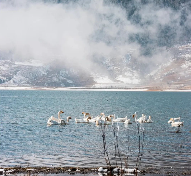 文海雪山云端自然風(fēng)景區(qū)4.png