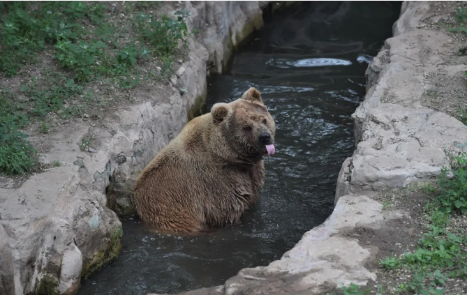 長春動植物公園2.png