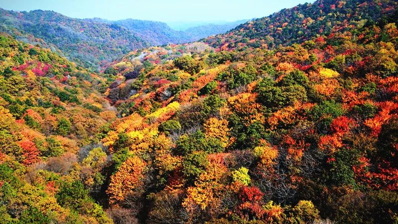 石門山國家森林公園1.jpg