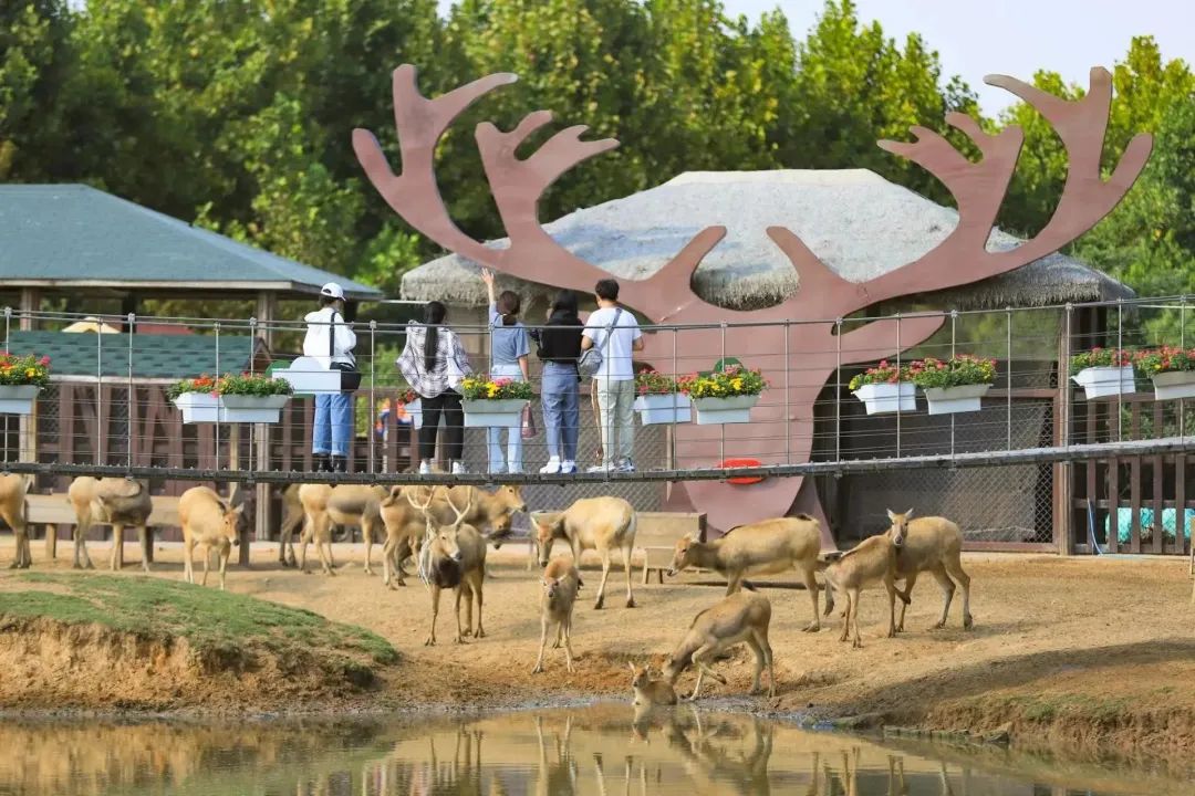 日照歡樂動物樂園2.jpg