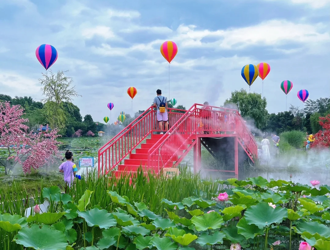 成都黃水印象荷花2.jpg