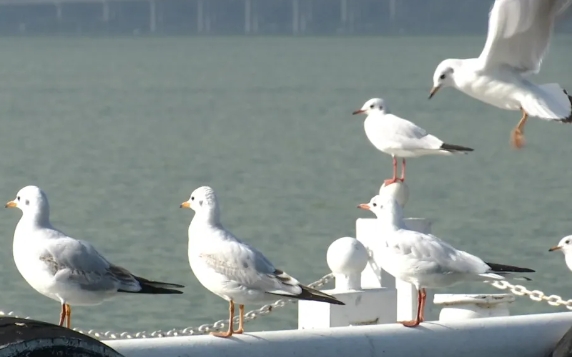 昆明海埂公園