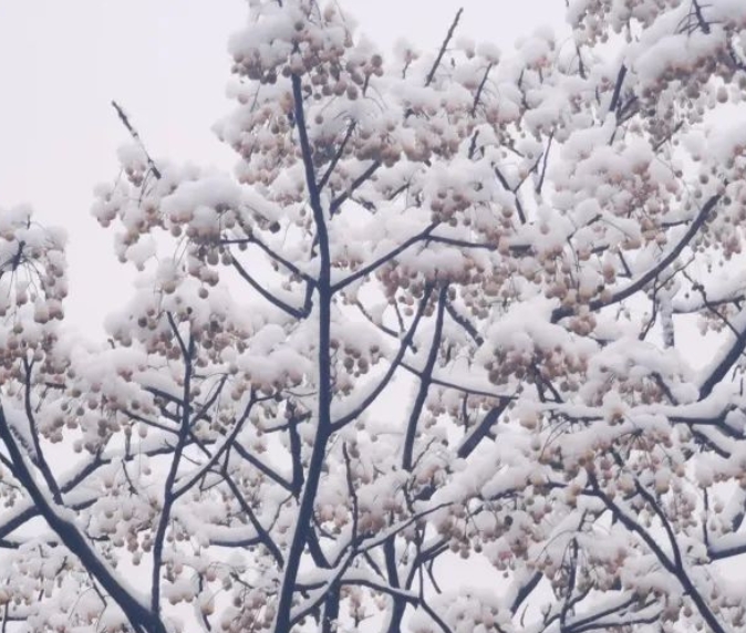 藥王谷冰雪巨人滑雪場(chǎng)