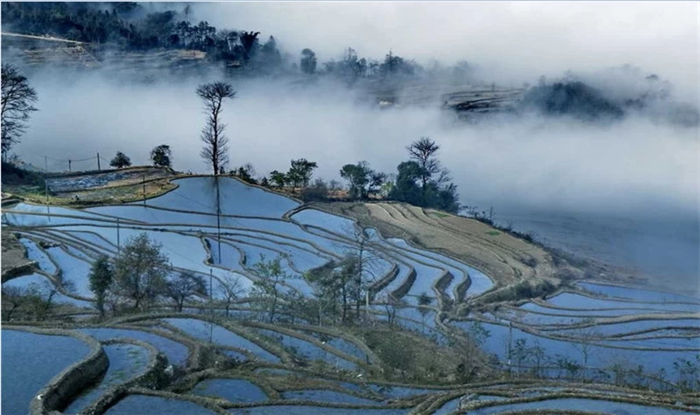 鳳山同壽山水