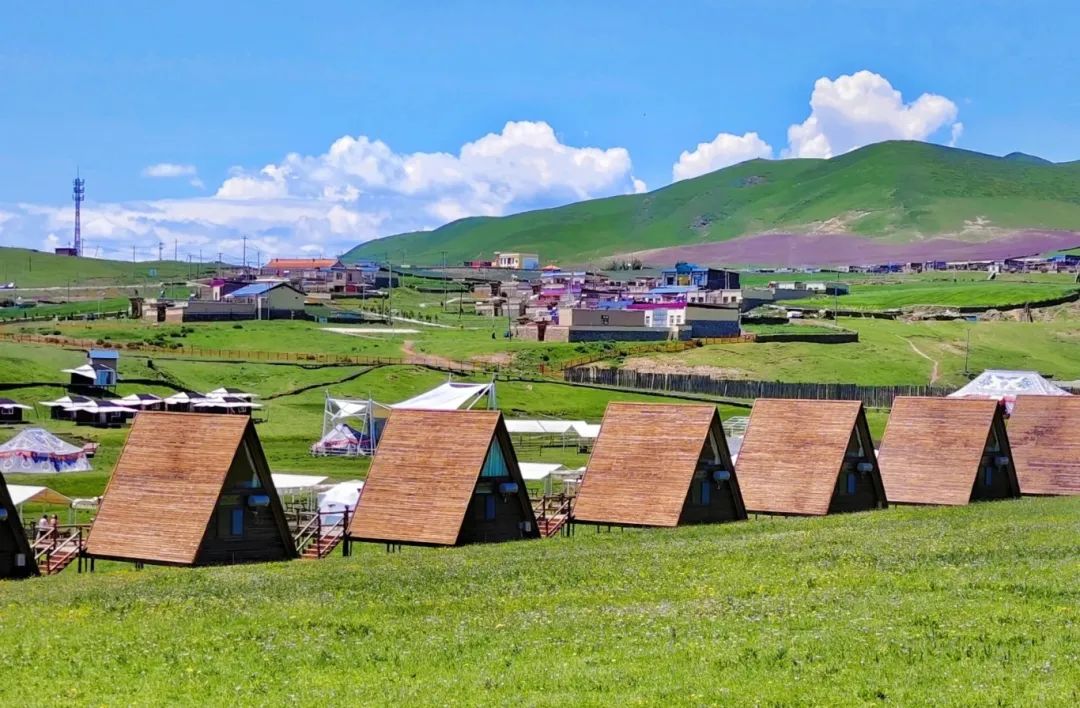 探索阿米貢洪，盡享高端住宿體驗