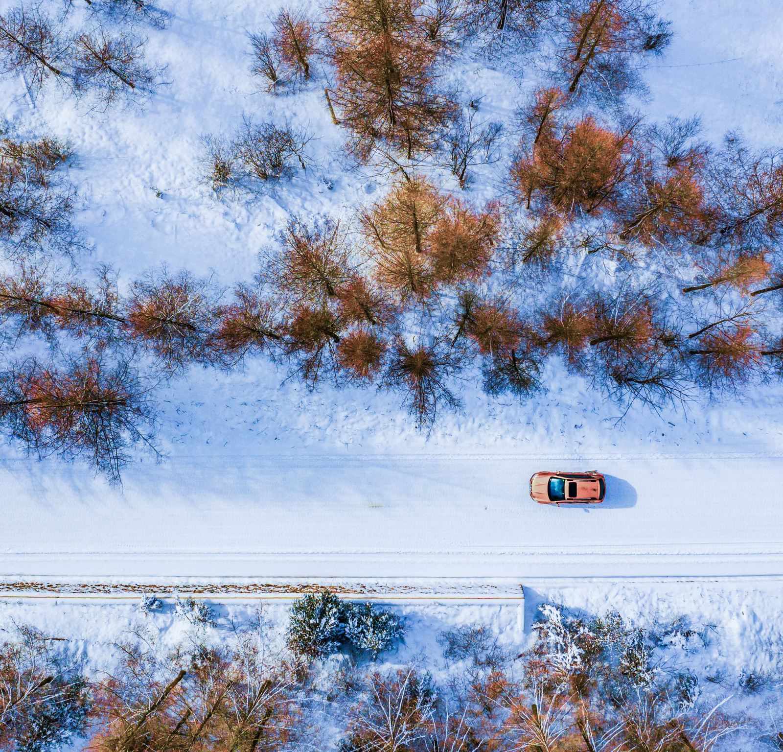 紅池壩國際滑雪度假村