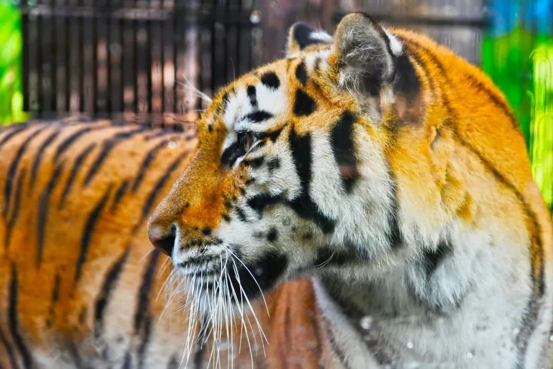 贛州森林動(dòng)物園