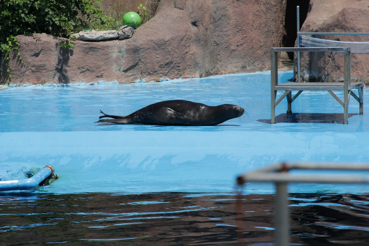 東莞香市動(dòng)物園