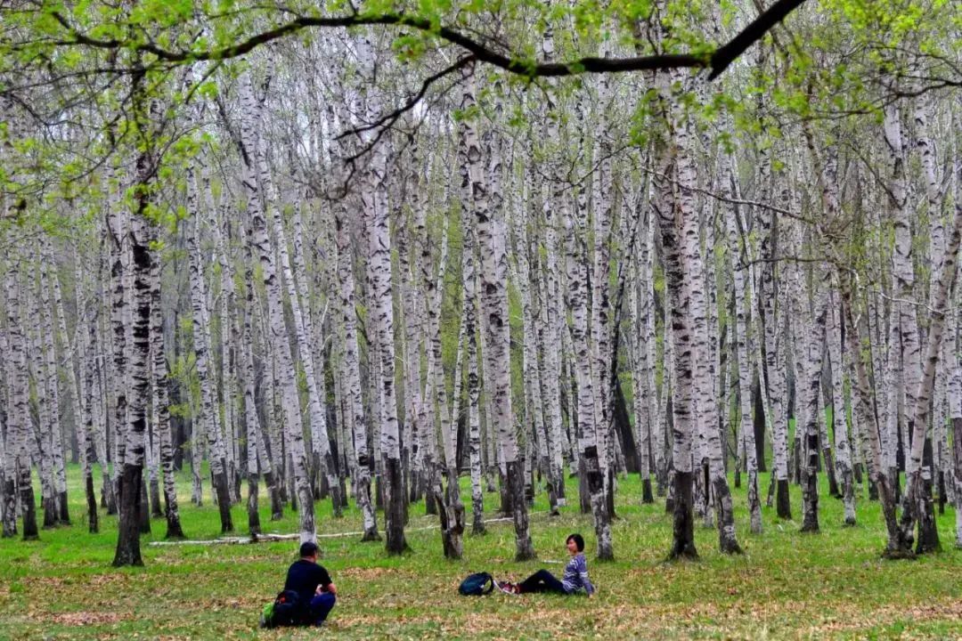 哈爾濱平山神鹿風(fēng)景區(qū)2.jpg