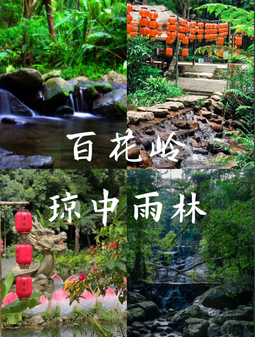 天賜陽光溫暖過年!海南百花嶺——熱帶雨林中的度假勝地！