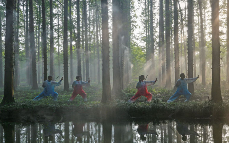 寶應(yīng)湖國家濕地公園