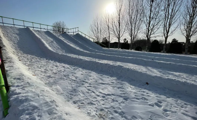 花木里冰雪王國