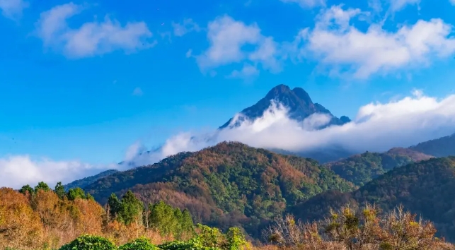 海南白花嶺