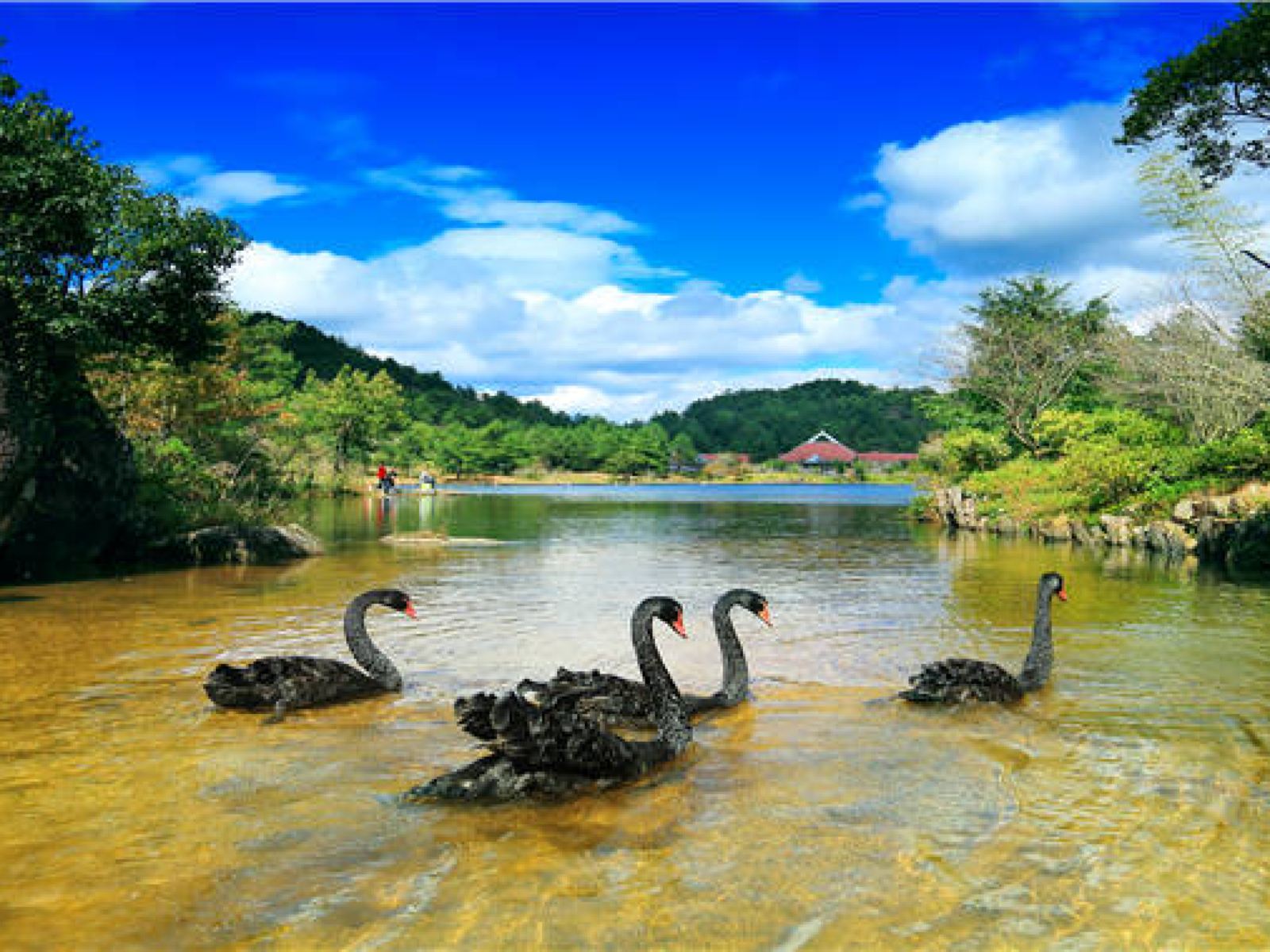 梅花山中國虎園