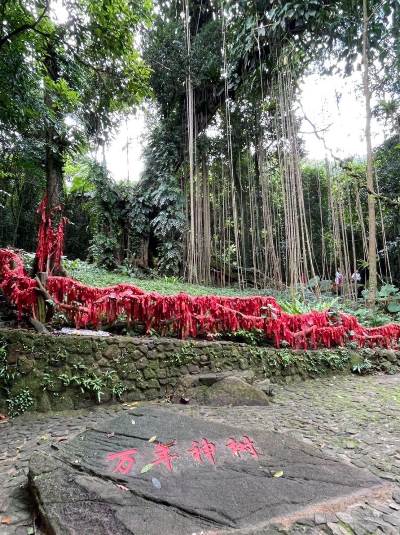 海南百花嶺