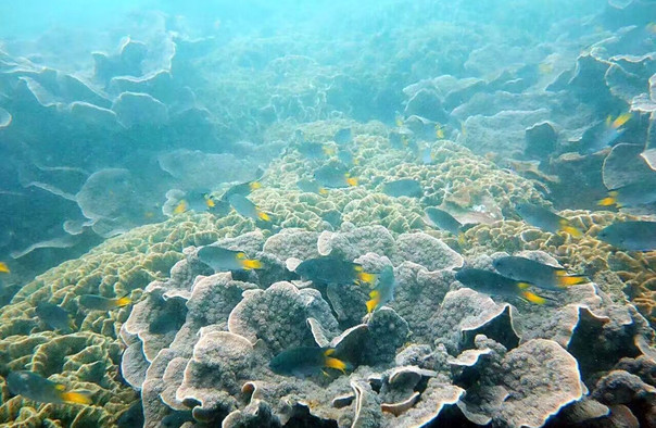 石螺口海灘潛水體驗