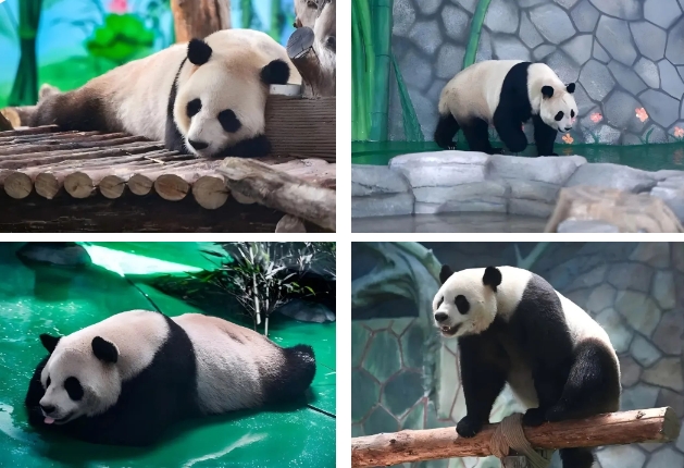 蘭州野生動物園