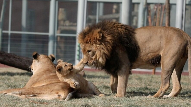 蘭州野生動物園