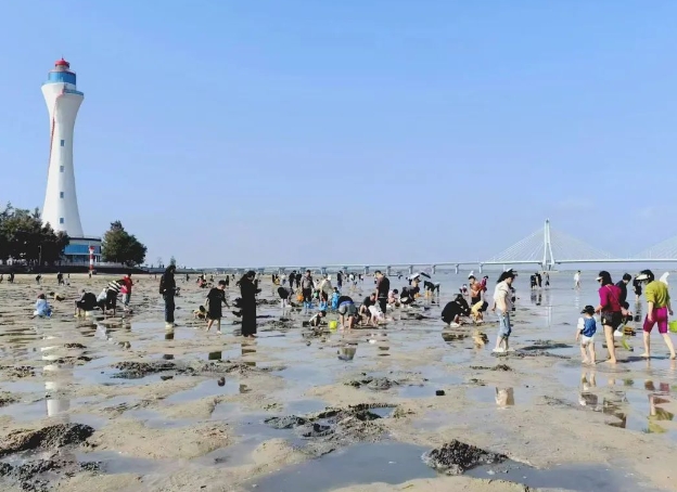 北海紅樹林愛趕海