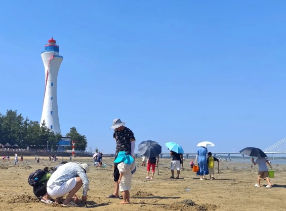 北海紅樹林愛趕海