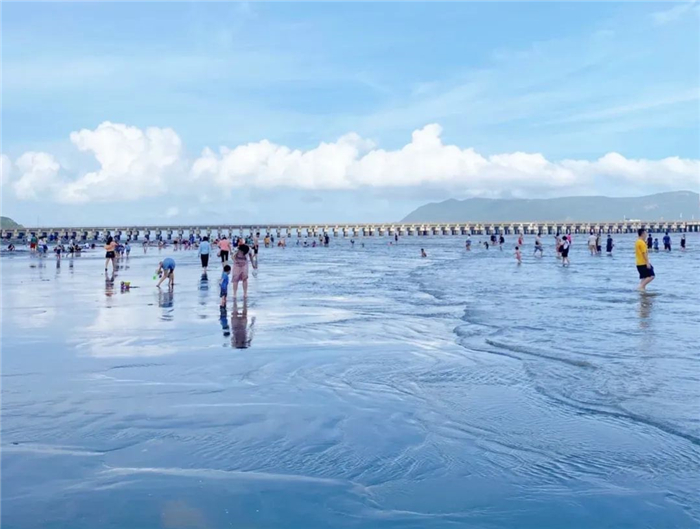 北海紅樹林愛趕海