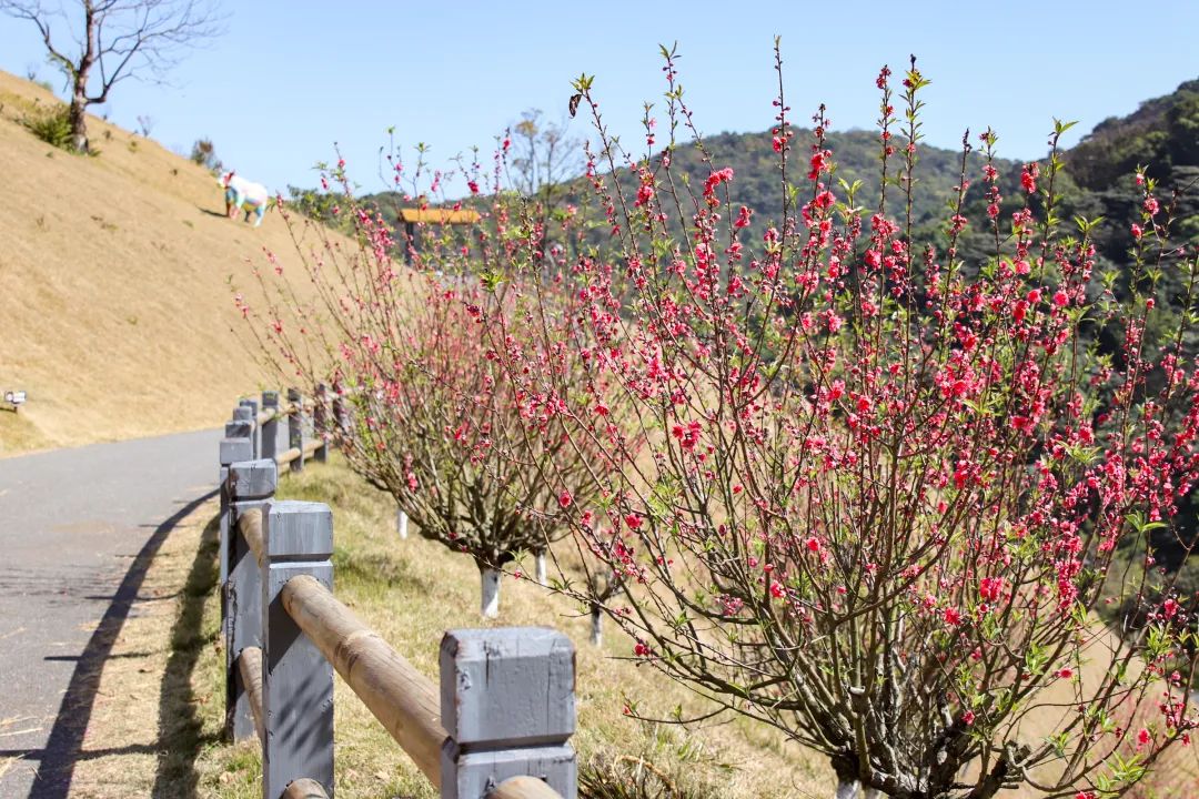 廣州山谷國際旅游度假區(qū)