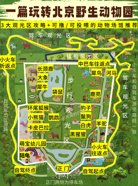 2025北京野生動(dòng)物園門票多少錢(附優(yōu)惠政策+購票入口+景區(qū)地圖)