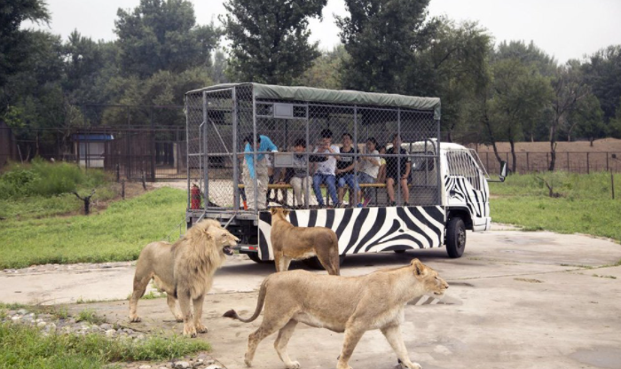 北京野生動物園