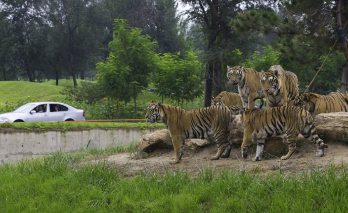 北京野生動物園