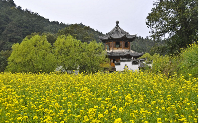 2025婺源李坑景區(qū)游玩介紹+門(mén)票價(jià)格+免費(fèi)政策+開(kāi)放時(shí)間