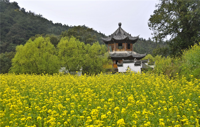 婺源李坑景區(qū)