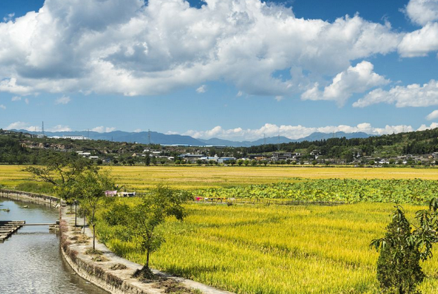 2025保山和順古鎮(zhèn)地址+門票價(jià)格+免費(fèi)政策+景點(diǎn)介紹