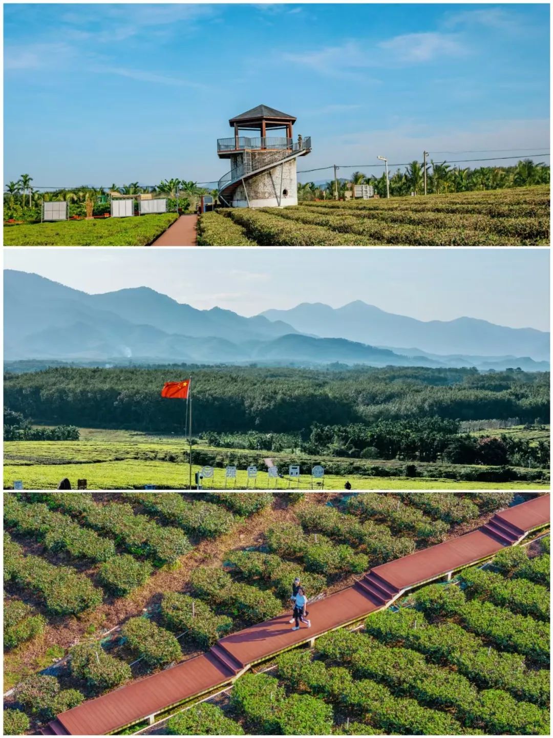 白沙原生態(tài)茶園小鎮(zhèn)