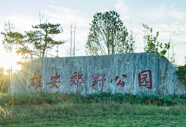 2025雄安郊野公園門票多少錢(附購票入口+景點介紹)