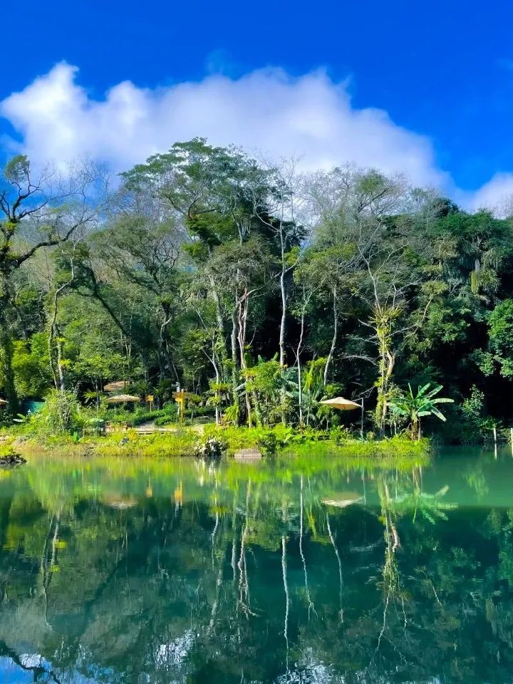 海南百花嶺