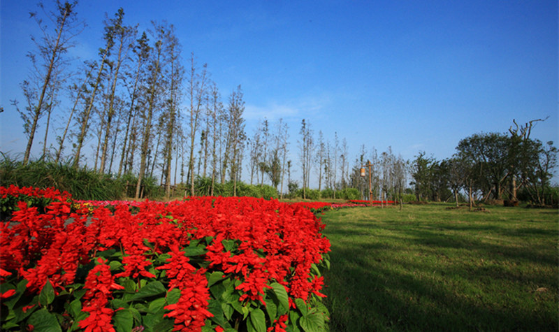 梁鴻國家濕地公園