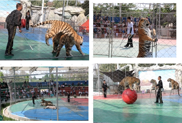 濮陽(yáng)東北莊野生動(dòng)物園