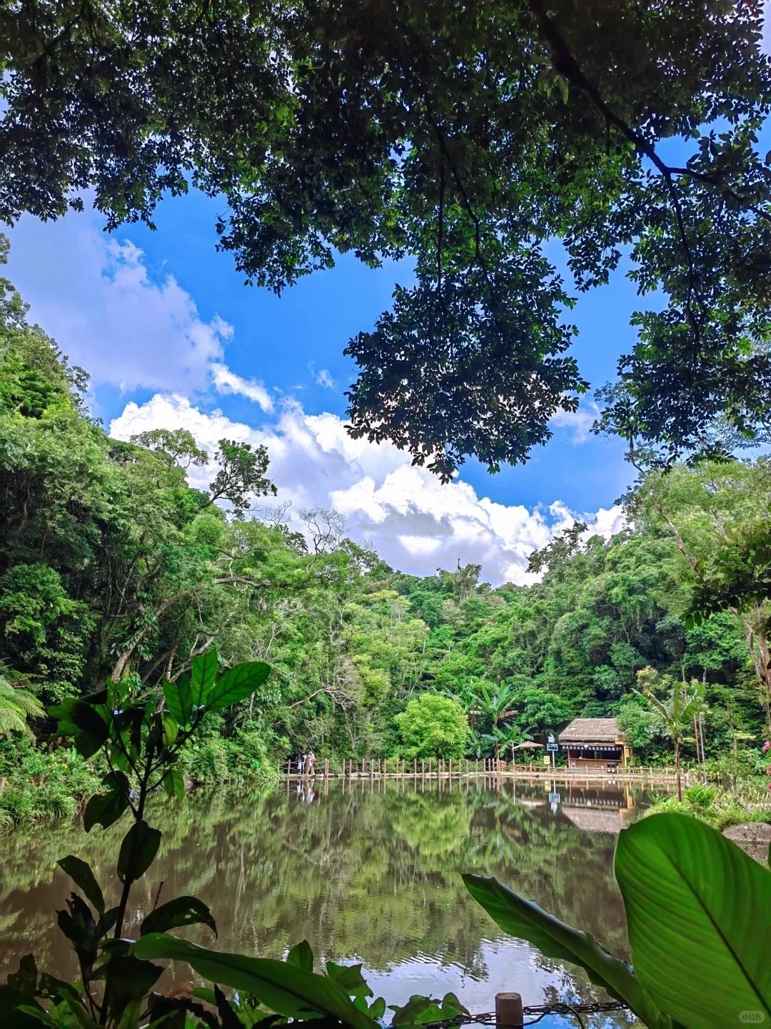 海南百花嶺